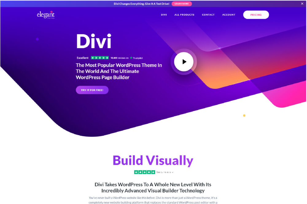 Divi Website template