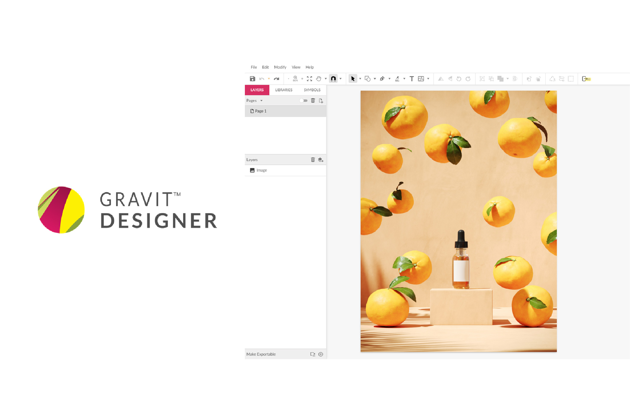 UI of Gravit-Designer software