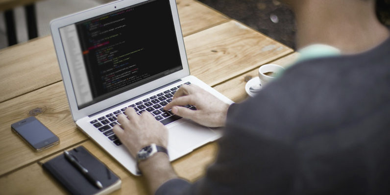 freelance web developer